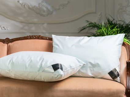 Подушка Trois Couronnes Cryo Night Pillow 93